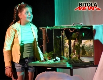 bitolino 7