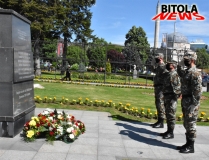 braniteli-8