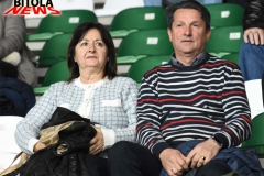 visla-29-copy