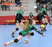 volej-19