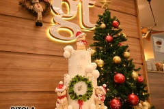 gt-5-copy