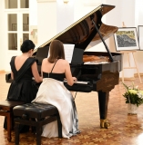 duo-klavir-11