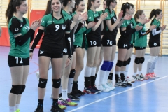 volej-2