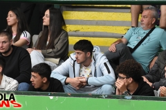 kkmzt-2-11