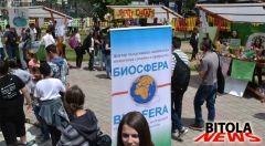 ekoo-7-copy