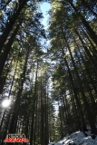 kopanki-015-copy