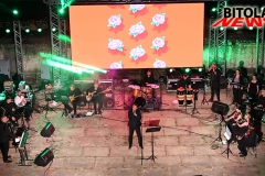 borcem-20