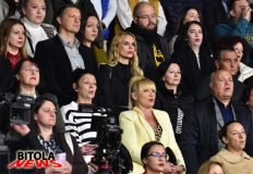 vmro-bt-33-copy