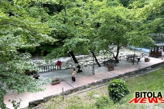 parton-26-42