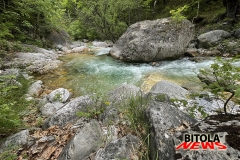 parton-26-48