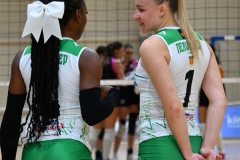 pelister-lih-14-copy