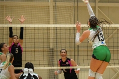 pelister-lih-20-copy