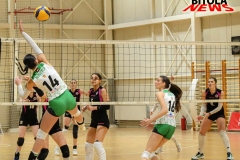 pelister-lih-23-copy