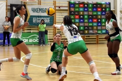 pelister-lih-31-copy