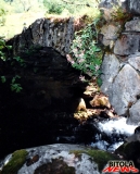 bari 8