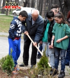 park 12