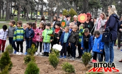 park 7