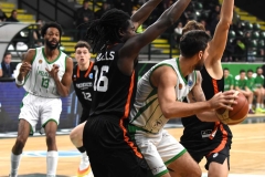 cedevita-12-copy