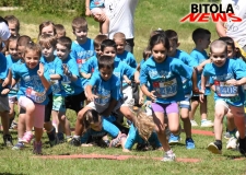 trailkoo-4-copy