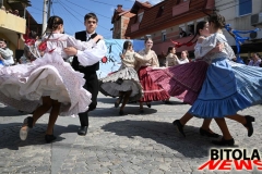 gradsko-selski-8-copy