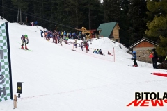 pelster-35-copy