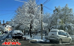 snegg-11-copy