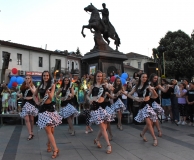 solstis-13-magnolija-13