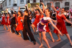 solstis-14-magnolija-14