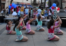 solstis-2-magnolija-2