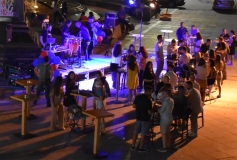 solstis-38-magnolija-2