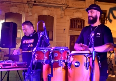 solstis-42-magnolija-5