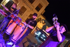 solstis-43-magnolija-6