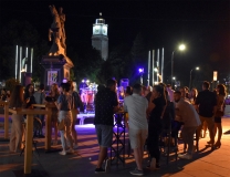 solstis-45-magnolija-8