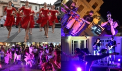 solstis-46-magnolija-999