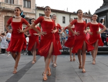 solstis-6-magnolija-6