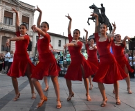 solstis-8-magnolija-8