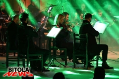 tose-13-copy