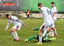 sileks-11-copy