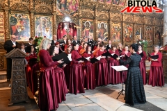 koncert-8-copy