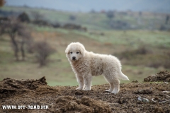 Во близина на село Чаниште, Мариово