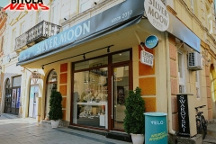 silver-moon-16