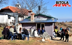 smolevo 7