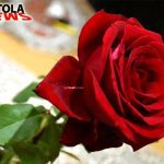 Жените – хероини на современото живеење: Честит 8 Март